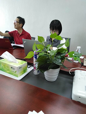 深國安客戶會(huì)議室交談.jpg